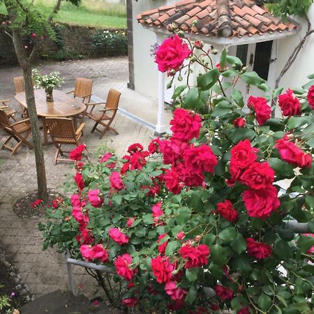 Villa Elena 포테스 외부 사진